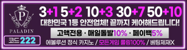 팔라딘